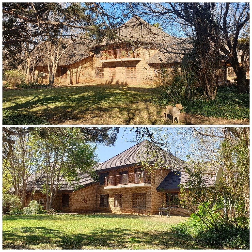 Empire-Roofing-Thatch-Two
